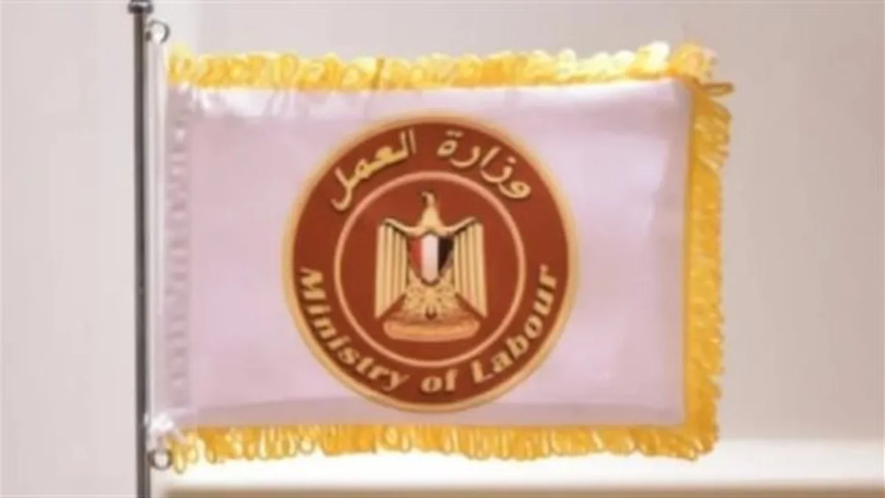 رواتب مغرية.. مطلوب سائقي رخصة درجة أولى في القطامية